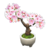 Pétala de flor de cerejeira