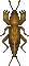 Bugs (mundo selvagem)