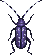 Bugs (mundo selvagem)