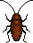 Insectes (Monde Sauvage)