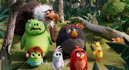 The Angry Birds Movie 2 /