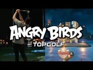 Angry Birds at Topgolf