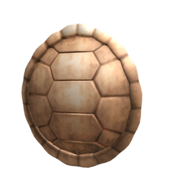 Carapace de dos de tortue