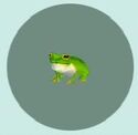Frog (fish)