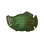 Poisson (Nouvelle Feuille)