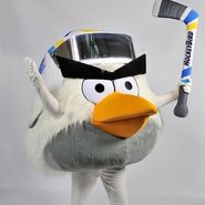 Oiseau de hockey