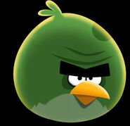 Espace Terence/Angry Birds