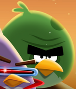 Espace Terence/Angry Birds