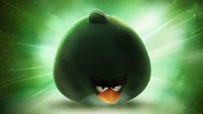 Terence / Angry Birds Space