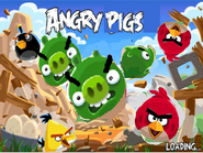 Cochons en colère