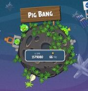 Pig Bang