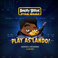 Lando Oiseau