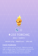 Torchic