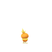 Torchic