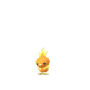 Torchic