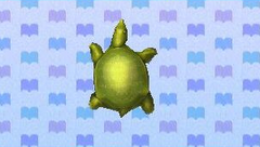 Tartaruga de casca mole