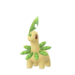 Chikorita