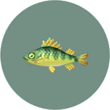 Peixe comum