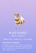 Furret