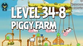 Piggy Farm 34-8