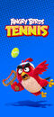 Tennis Angry Birds