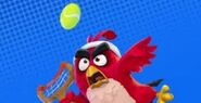 Tennis Angry Birds