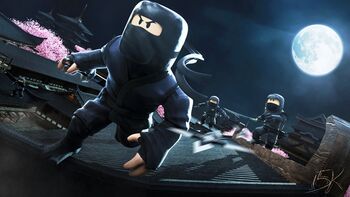 Ninja Masters