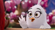 Ella (La película de Angry Birds 2)