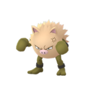 Primeape