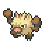 Primeape