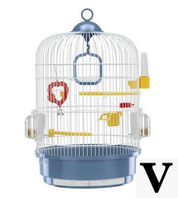 Cage à oiseaux