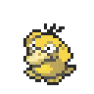 psyduck