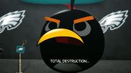 Angry Birds Philadelphia Eagles