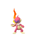 Infernape