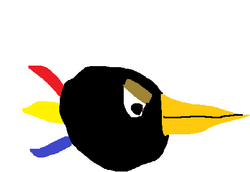 Pájaro dardo negro