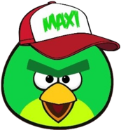 MaxiBird