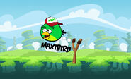 MaxiBird