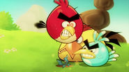 Angry Birds y el águila poderosa