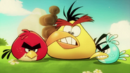 Angry Birds et le puissant aigle