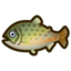 Guia: lista de peixes de março (novos horizontes)