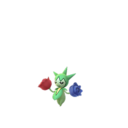 Budew