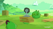 Tráiler cinematográfico de Bad Piggies