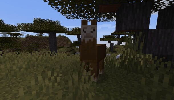How to ride a llama in Minecraft