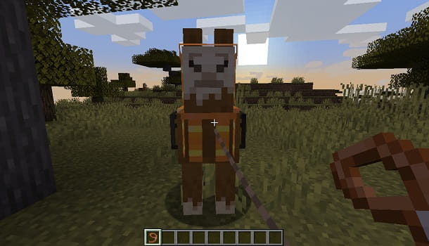 How to ride a llama in Minecraft