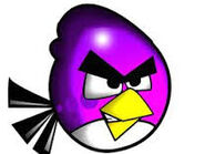 Oiseau violet (Oshawott10001)