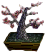 Conjunto de bonsai