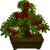 Conjunto de bonsai