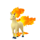 Ponyta