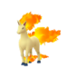 Ponyta