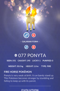 Ponyta